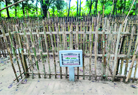 Image of মো: উসামা